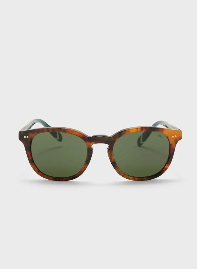 POLO RALPH LAUREN 0Ph4206 Round Sunglasses