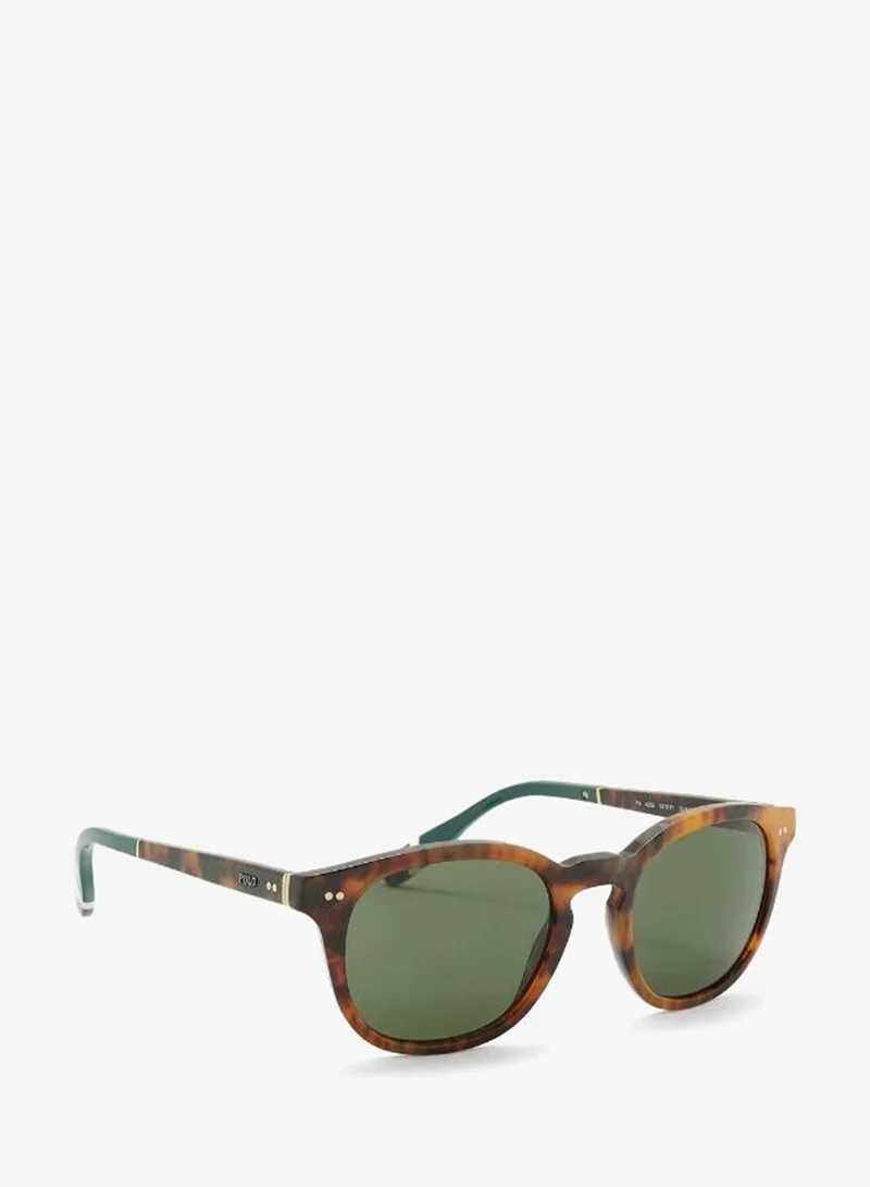 POLO RALPH LAUREN 0Ph4206 Round Sunglasses