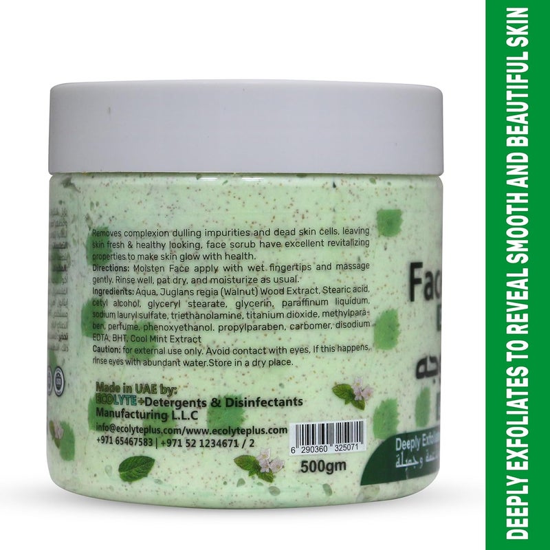 ECOLYTE+ La Parisienne Cool Mint Face Scrub - 500 ml Exfoliating Scrub for Smooth and Beautiful Skin - Image 3