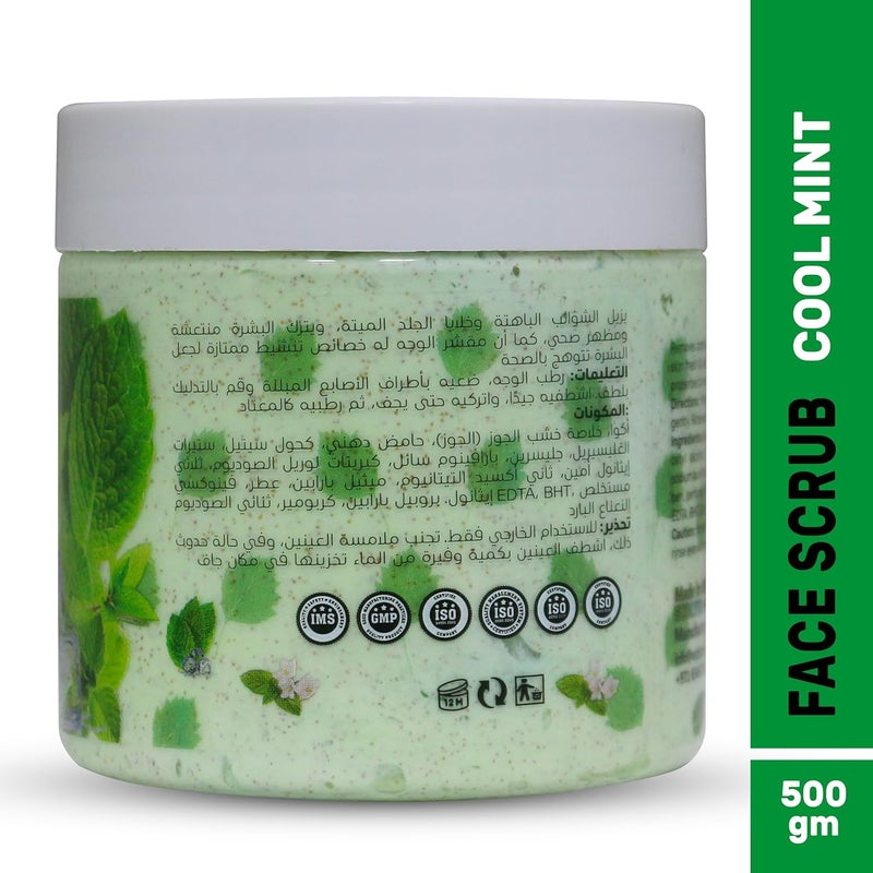 ECOLYTE+ La Parisienne Cool Mint Face Scrub - 500 ml Exfoliating Scrub for Smooth and Beautiful Skin - Image 2
