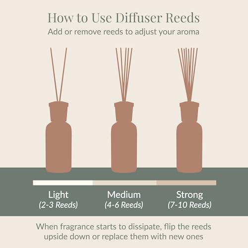 Archipelago Botanicals Havana Diffuser Oil Refill, Bergamot, Tobacco Flower and Ylang Ylang (7.85 fl oz) - Image 4