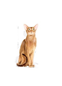 ROYAL CANIN Feline Health Nutrition Exigent Protein - 2 KG  - Image 3