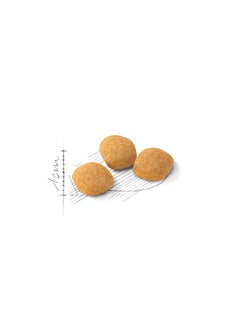 ROYAL CANIN Feline Health Nutrition Exigent Protein - 2 KG  - Image 2