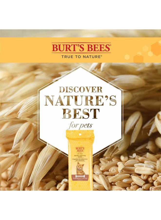 Burt's Bees for Pets Cat Dander Wipes with Colloidal Oat Flour, 98% Natural Origin Formulas, Cat Dander Remedy, Cat Wipes for Allergy Relief, Cat Dander Wipes, 50ct - Image 3