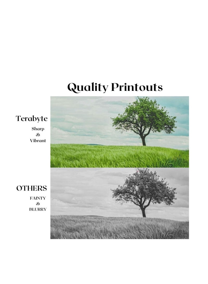 Terabyte NPG45/GPR30/EXV28 (4COLORS) COMPATIBLE TONER TERABYTE - Image 2