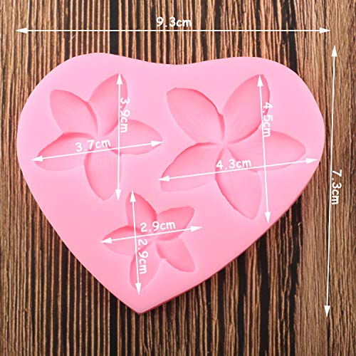 Seedomes Frangipani Plumeria Flower Floral Silicone Mold DIY Pudding Desserts Cupcake Cake Topper Decoration Soap Mould Crystal Jelly Shots Gum Paste Candy Chocolate Handmade Ice Cream Fondant Mold - Image 2