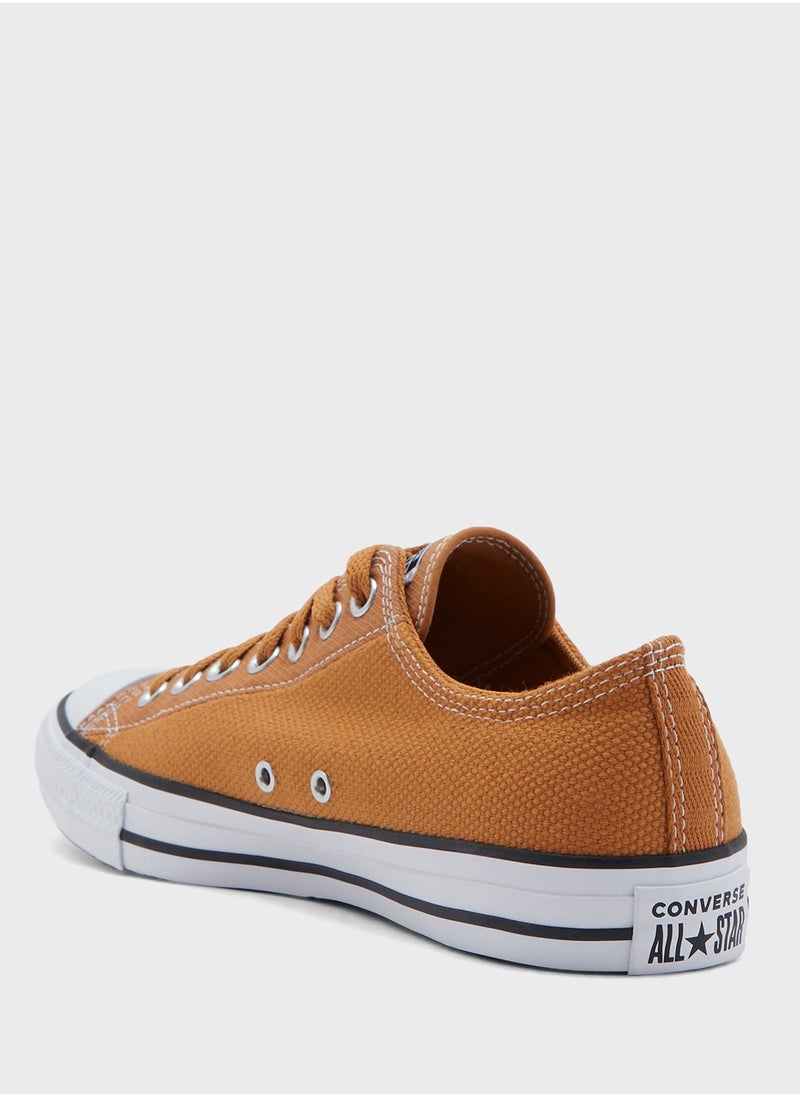 CONVERSE - Chuck Taylor All Star - Image 1