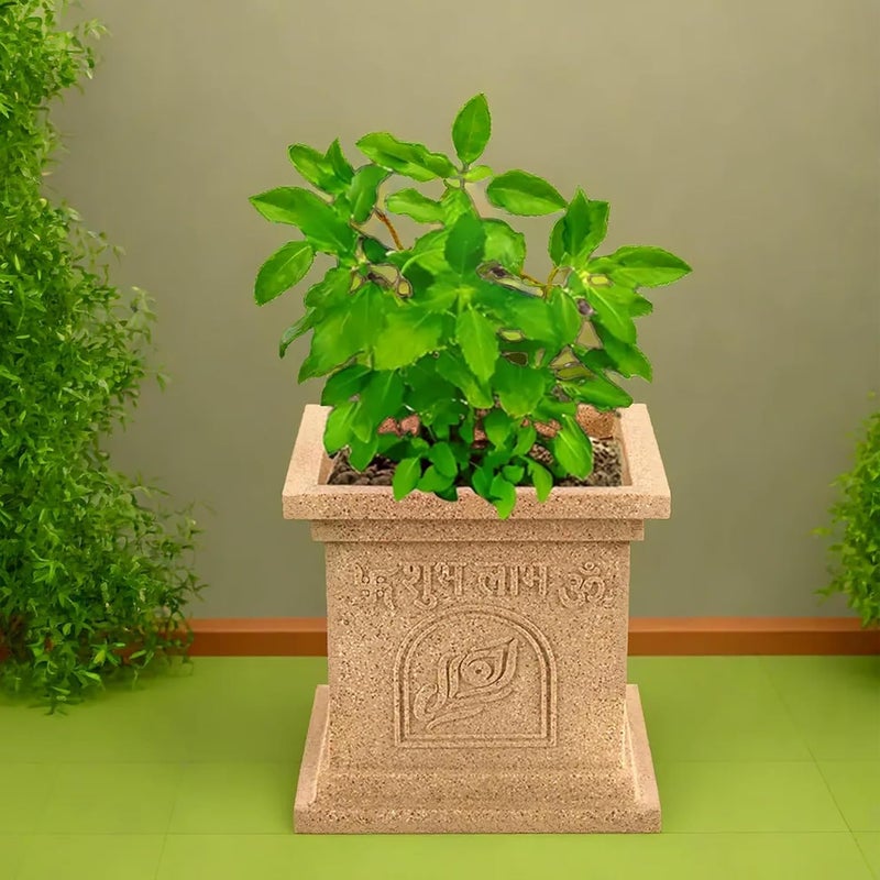 Kuber Industries 12 Inch Plastic Tulsi Planter Pot - Image 2