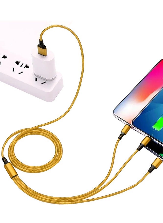 Festive Gallery 3 in 1 Charging Cable, Multi Charging Cable 1.2M Multi Charger Cable Fast Charging with Type-C, Micro USB and iPhone Port, Compatible with iPhone 14 13 Galaxy S20 S9 & Micro USB 1 Meter ( Gold ) - Image 3