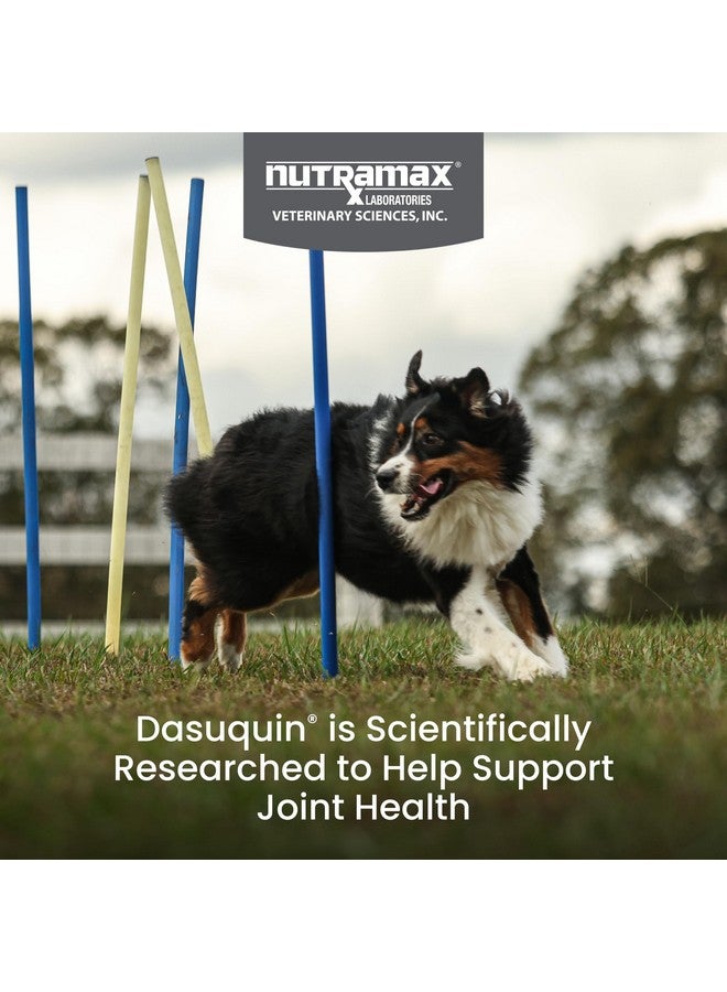 Nutramax Laboratories Dasuquin with MSM Joint Health Supplement for Large Dogs - With Glucosamine, MSM, Chondroitin, ASU, Boswellia Serrata Extract, and Green Tea Extract, 150 Soft Chews - Image 2