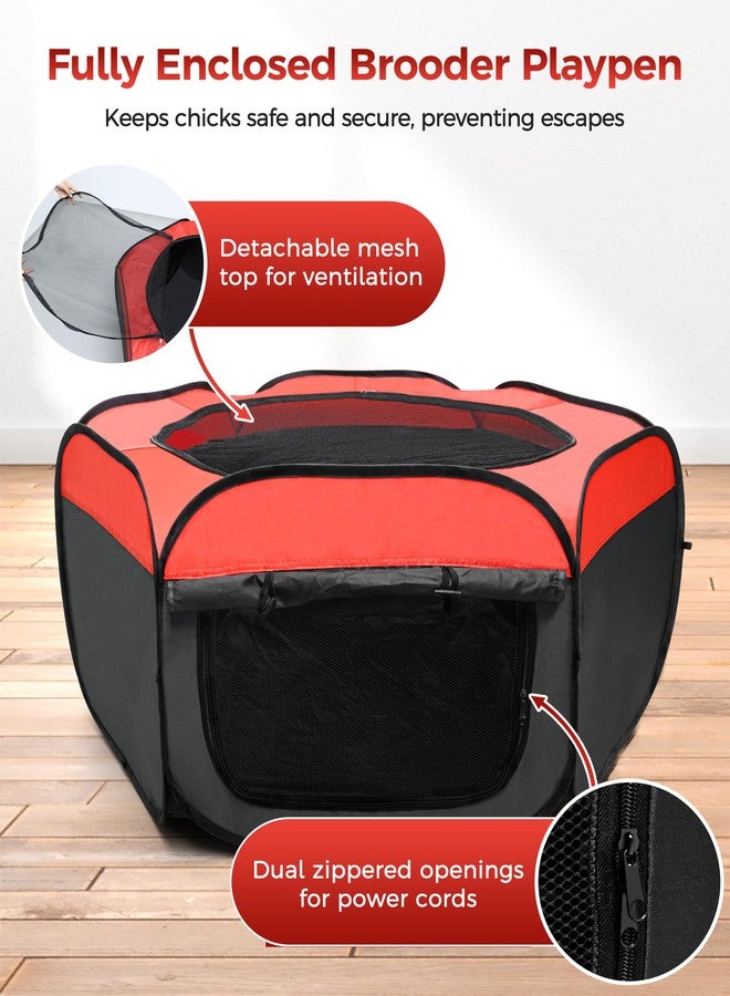 Besly Large Brooder Box for Chicks,Starter Kit for Baby Chick Care Portable Pet Puppy Playpen - Image 4