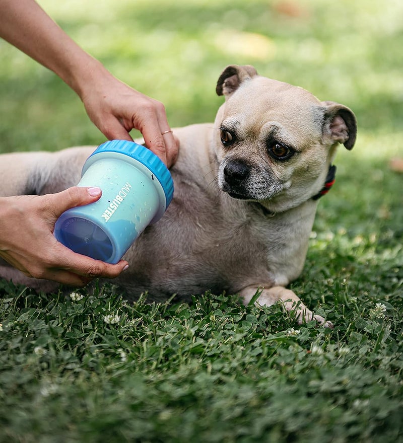 Dexas Mudbuster Portable Dog Paw Cleaner, Small, Blue,Pw700312 - Image 5