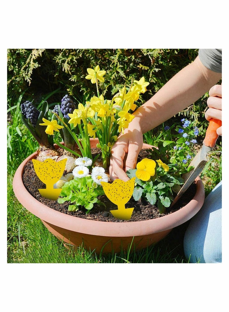 KASTWAVE 12 عبوة مصيدة لاصقة، مصيدة ذبابة الفاكهة وذباب الفطريات القاتل داخليًا وخارجيًا، حماية النبات، غير سامة وعديمة الرائحة (نوع الزهور) - Image 4