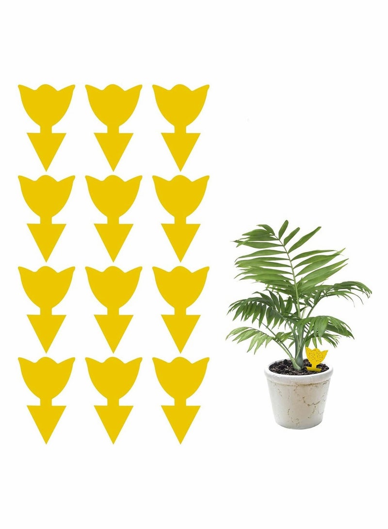 KASTWAVE 12 عبوة مصيدة لاصقة، مصيدة ذبابة الفاكهة وذباب الفطريات القاتل داخليًا وخارجيًا، حماية النبات، غير سامة وعديمة الرائحة (نوع الزهور) - Image 1