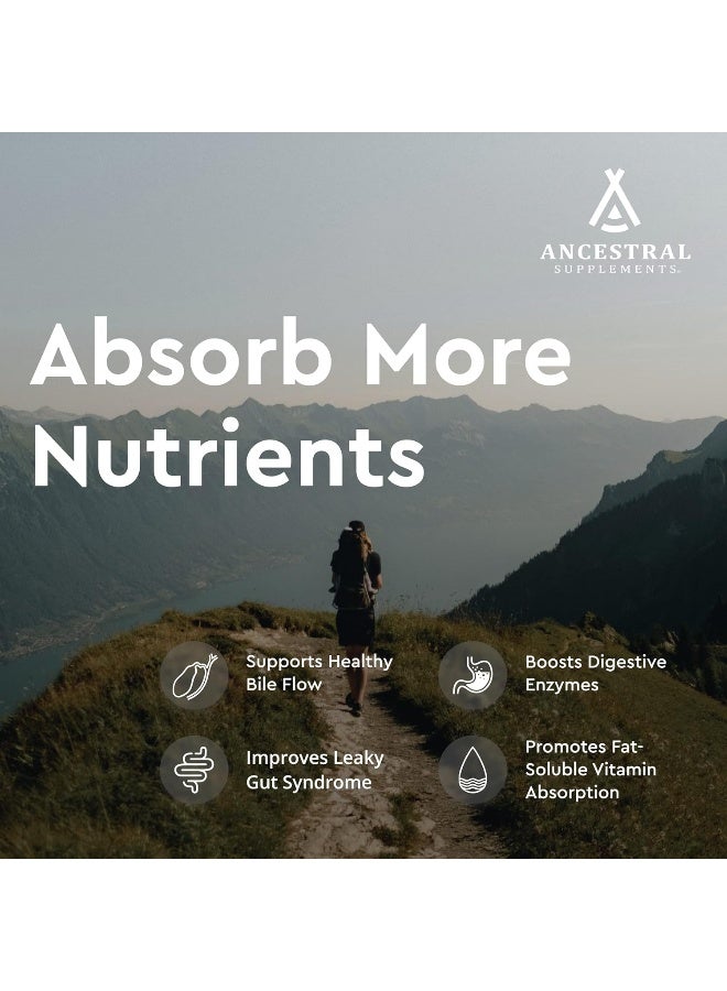 Ancestral Supplements Supports Gallbladder - Image 3