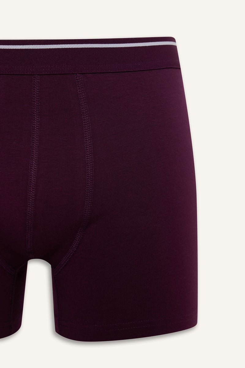 ديفاكتو بوكسر قصة عادية - 3 قطع - Image 4