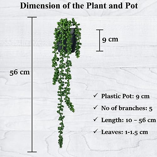 Tdas Plastic & Tpe Artificial Succulent Plants Hanging Flowers Home Decor Items Plant Leaves For Living Room Hall Decorative Decoration Office In Pot (Green, 2-Pcs Hanging Succulent With Pot) - Image 2