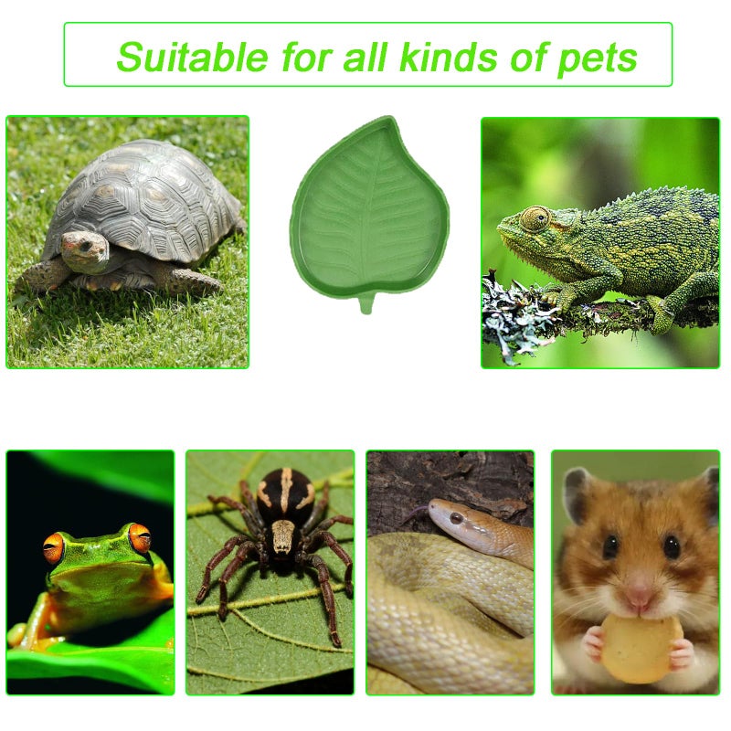 3PCS Tortoise Dish with Ramp Leaf - Tortoise Food & Water Bowls - Reptile Habitat Accessories for Horned Frogs & Lizards - Fit for Bath - Image 5