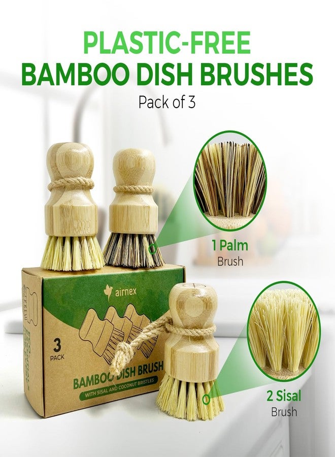 AIRNEX Palm Pot Brush - Bamboo Mini Dish Brush Natural Scrub Brush Durable Scrubber Cleaning Kit for Cleaning Pots, Pans and Vegetables - Image 2