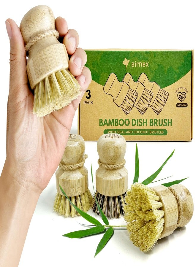 AIRNEX Palm Pot Brush - Bamboo Mini Dish Brush Natural Scrub Brush Durable Scrubber Cleaning Kit for Cleaning Pots, Pans and Vegetables - Image 1