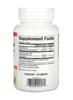 natural Factors Fermented Apple Cider Vinegar 500 mg 90 Veggie Capsules  - Image 2
