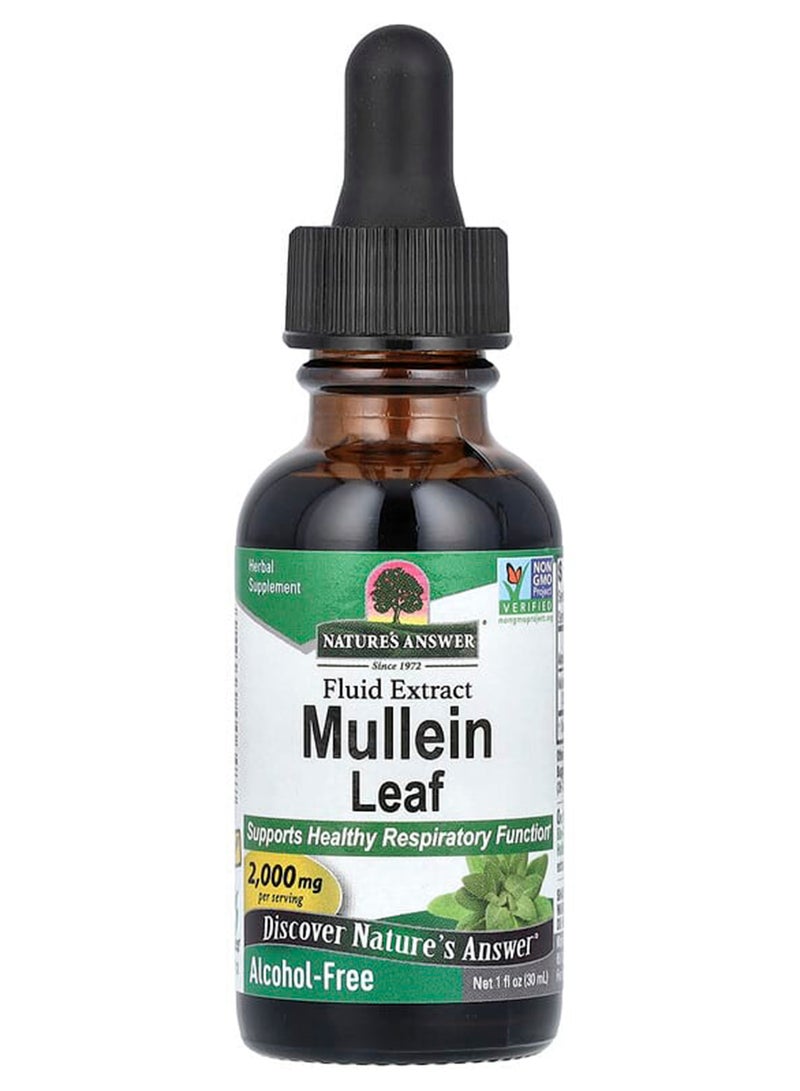 NATURE'S ANSWER Mullein Verbascum Thapsus Herbal Supplement  1 fl oz - Image 1