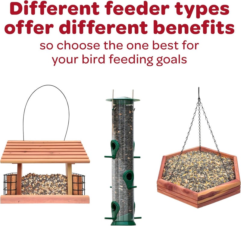 Kaytee Wild Bird Finch Food Blend, 3 lb - Image 5
