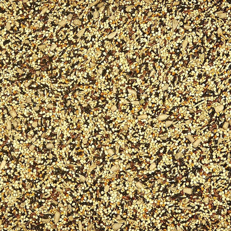 Kaytee Wild Bird Finch Food Blend, 3 lb - Image 2
