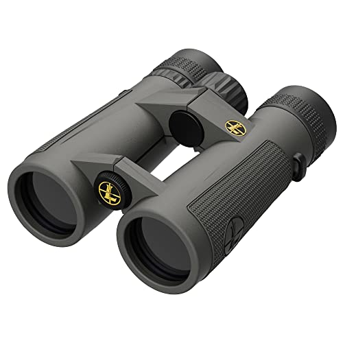 Leupold BX-5 Santiam HD Binoculars, 10x42mm (174483) - Image 1