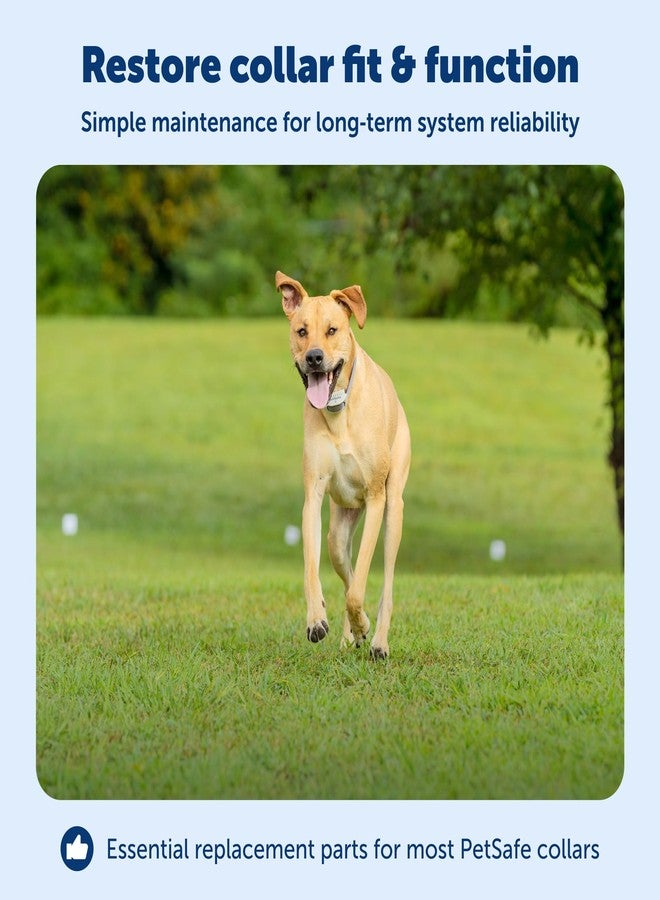 بيت سيف طقم ملحقات طوق بديل من PetSafe لأطواق استقبال الكلاب الأرضية واللاسلكية - يتضمن نقاط اتصال قصيرة وطويلة، وأغطية مستوية، وأدوات من الشركة الأم لعلامة Invisible Fence التجارية - Image 3