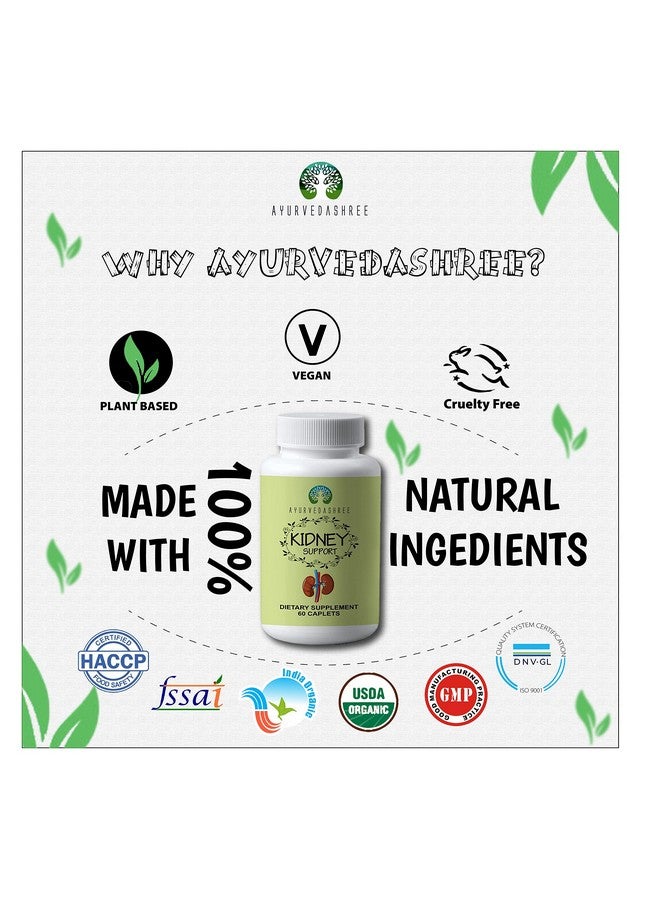 يورفيداشري مكمل عشبي لدعم الكلى من AYURVEDASHREE - يدعم وظائف الكلى الصحية، نباتي، خالٍ من الجلوتين، معتمد من GMP - كل كبسولة تحتوي على 1000 مجم - Image 4