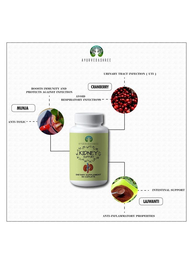 AYURVEDASHREE Kidney Support Herbal Supplement - Supports Healthy Kidney Function, Vegan, Gluten-Free, GMP Certified - Each Caplet of 1000 MG - pzsku/ZCDE9BED43162EEA9A5E9Z/45/_/1739882258/9b2479b6-5113-40bd-ad13-dbe59bc9f8f8