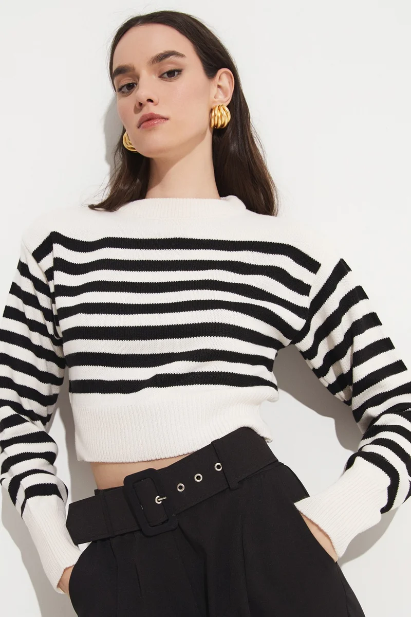 جون Women's Regular Fit Crew Neck Striped Knitwear Crop Sweater