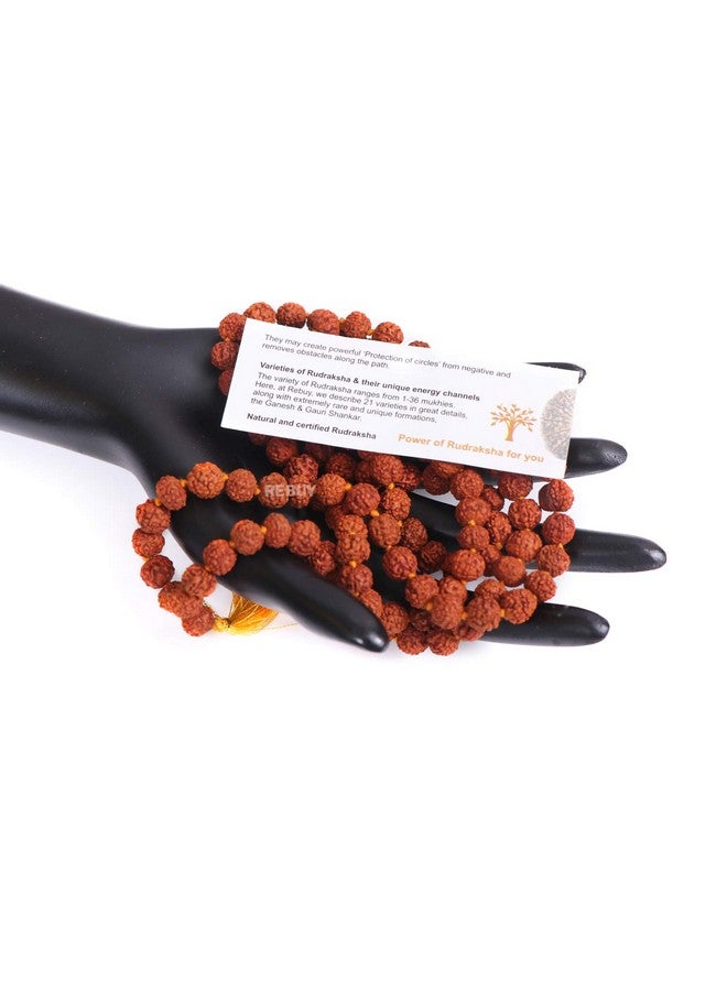 REBUY 5 Mukhi Rudraksha Mala, Certified & Original Five Mukhi Rudraksha Necklace, 108 Mala Beads, Knotted Mala, Handmade Mala, Yoga & Meditation Mala, Bead Size 7 mm For Unisex Adult - Image 3