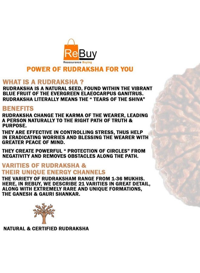 REBUY 5 Mukhi Rudraksha Mala, Certified & Original Five Mukhi Rudraksha Necklace, 108 Mala Beads, Knotted Mala, Handmade Mala, Yoga & Meditation Mala, Bead Size 7 mm For Unisex Adult - Image 5