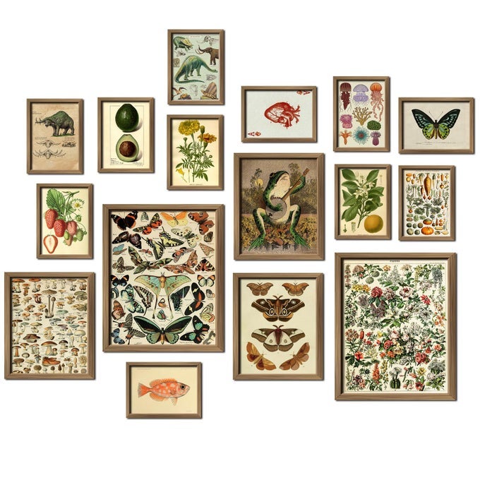 16 PCS FRAMED VINTAGE WALL ART DECOR BOTANICAL COTTAGECORE WALL PRINTS FOR BEDROOM GALLERY WALL FRAME SET FARMHOUSE POSTERS FOR LIVING ROOM AESTHETIC RUSTIC DORM HOME COLLAGE KIT