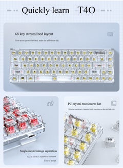 T-WOLF Transparent Gaming Keyboard,68 Keys USB Wired Mechanical Keyboard with Transparent PBT Keycaps and RGB Side Light for Office Gaming,Suitable for PC/Ps4/Xbox Gamers,Yellow Switch  - Image 5
