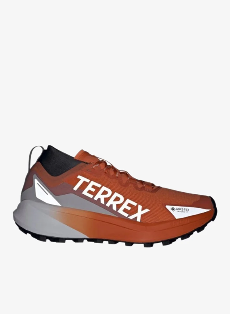 Adidas Terrex Agravic Gtx Trail Running Shoes