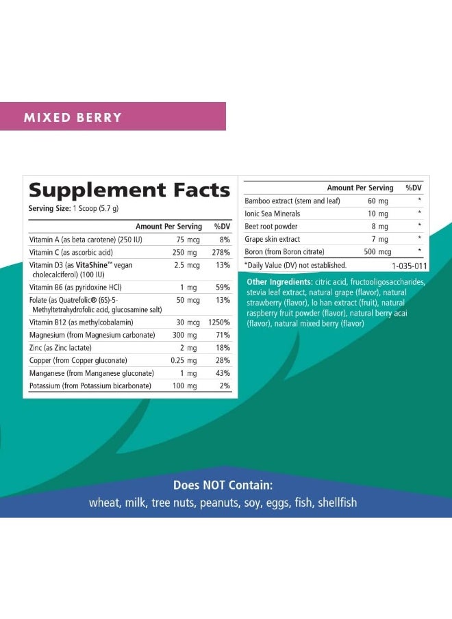 PURE ESSENCE LABS - Ionic-Fizz, Magnesium Plus, Mixed Berry, 12.06 oz (342 g) - Image 1