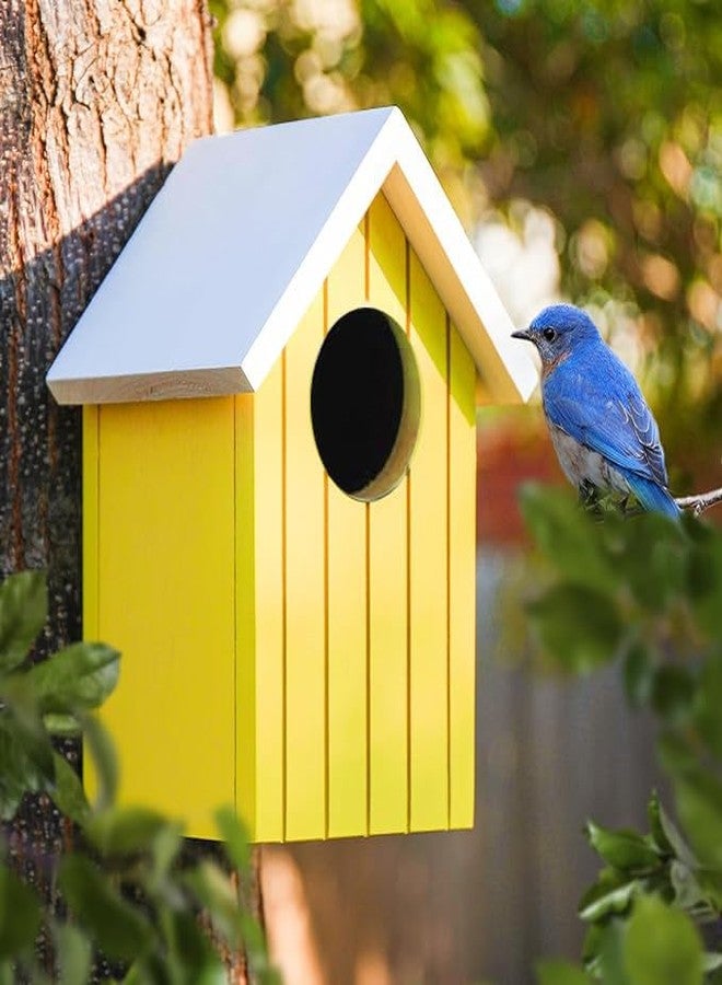 LIVEONCE Wooden Multi Color Bird House Color Orange REQULAR - Image 1