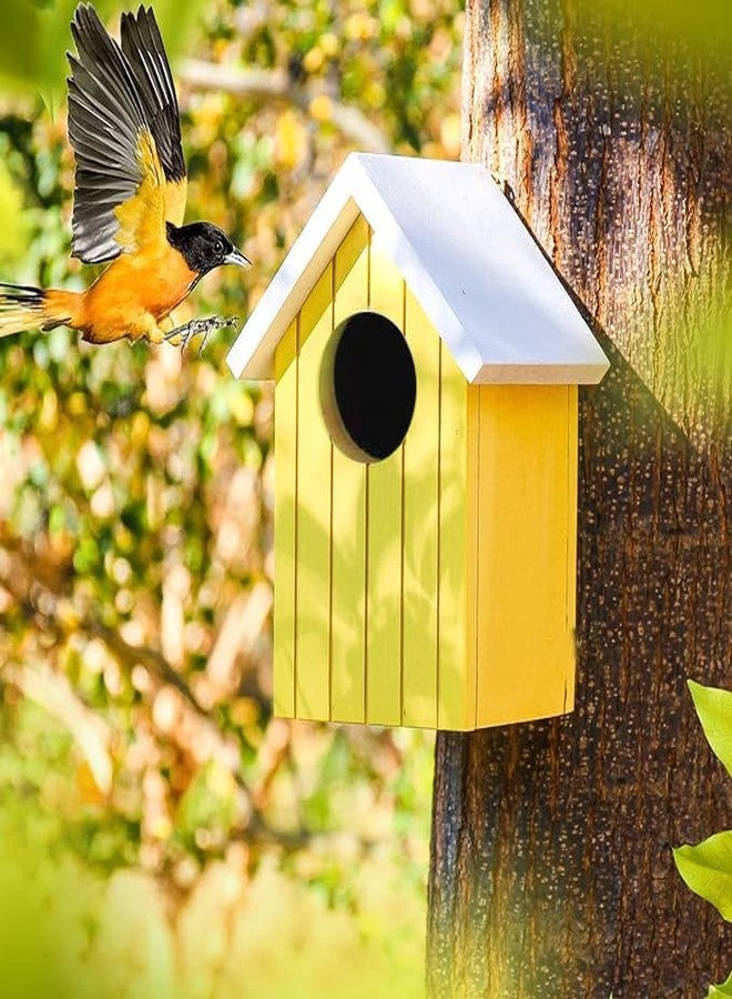 LIVEONCE Wooden Multi Color Bird House Color Orange REQULAR - Image 2