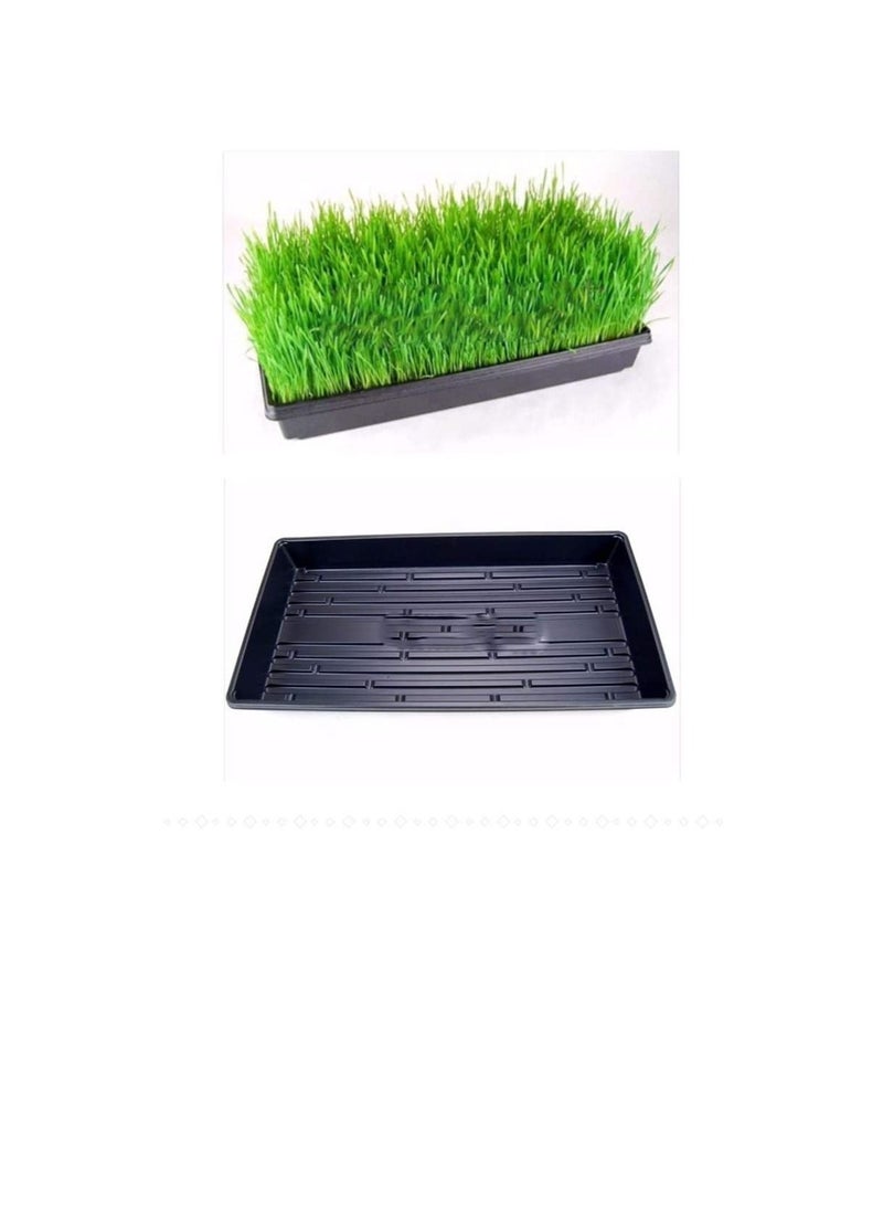 Generic Pack of 10 Reusable Thick Seed Starter Trays Strong Plant Growing Kit Without Drain Holes for Cloning Gardening Countertop Sprouts Herbs  - Image 3