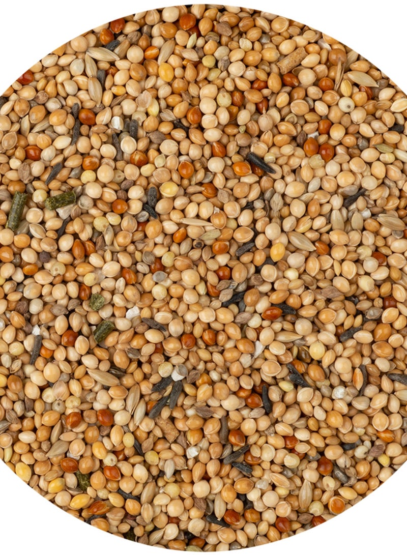 Vitakraft Bird Food with Herbs, Vitamins & Minerals – Sugar-Free & Preservative-Free – 500g - German Made - Image 2