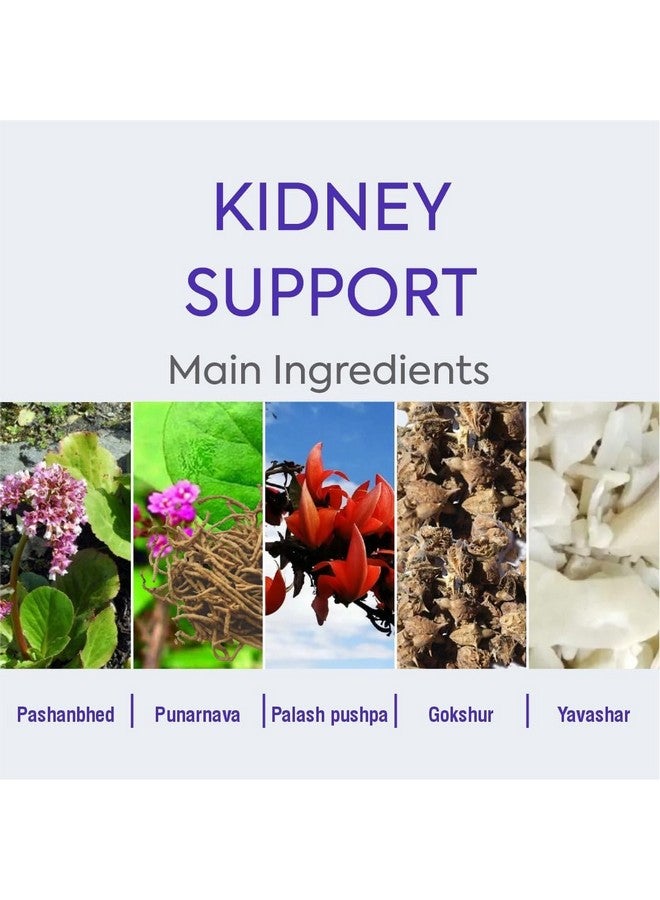 Herbal Hills Stonhills Tablet (60 Count Pack of 2) - Image 5