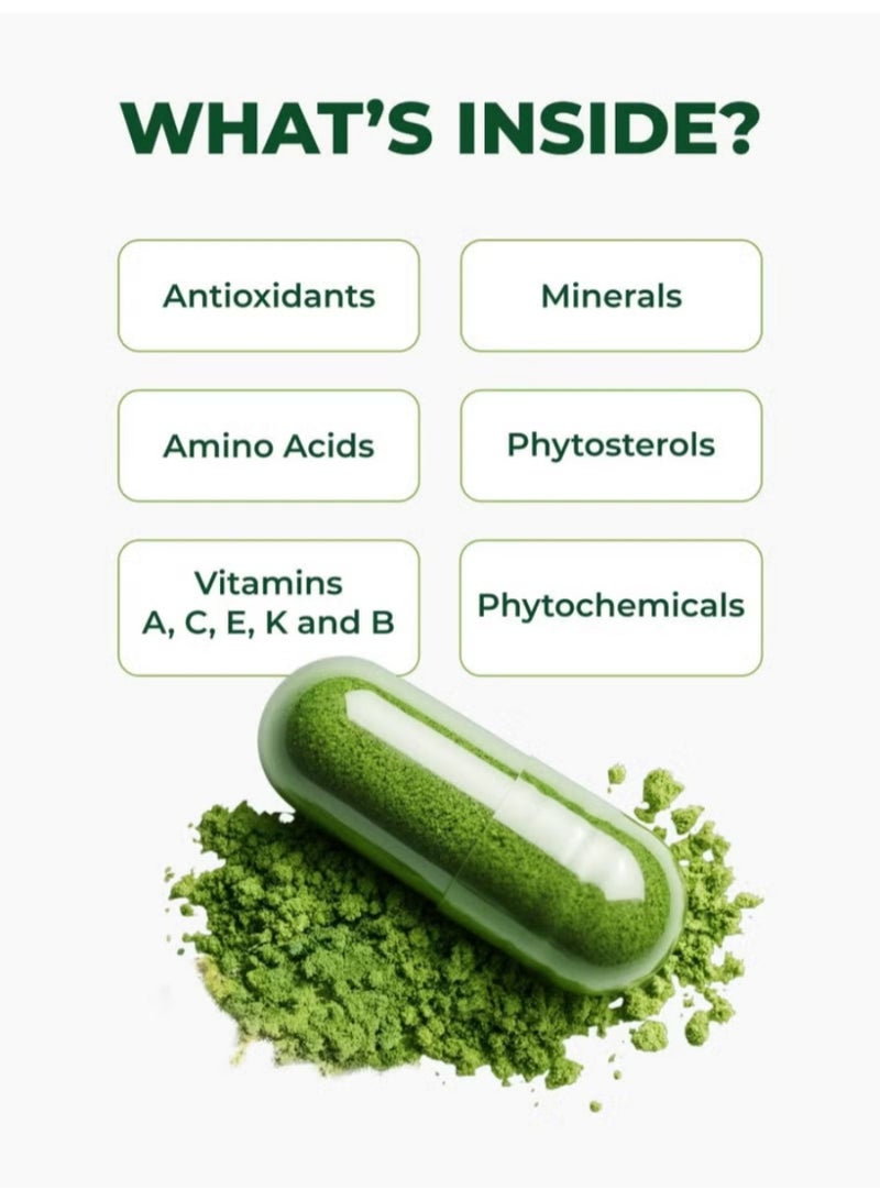 مورينجا كبسولات مسحوق أوراق المورينغا النقية ١٠٠٪ — مع ٩٢+ عنصرًا غذائيًا لتنشيط يومك بالحيوية - Image 3