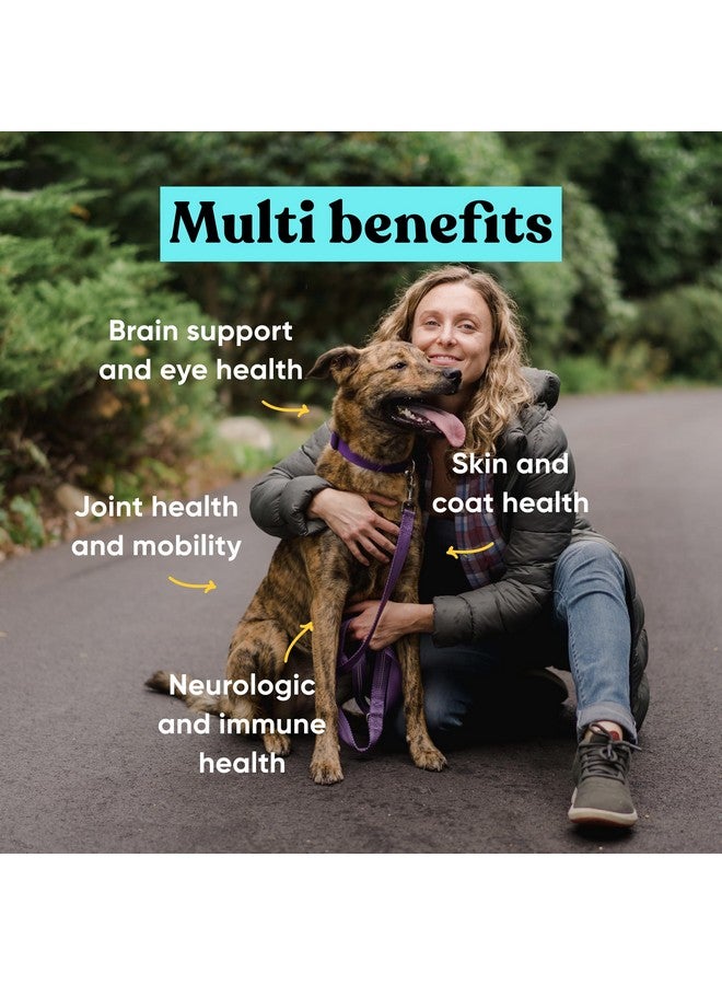 إمبارك دوج متعدد الفوائد - الكل في واحد، مكملات غذائية للكلاب - جلوكوزامين، كوندرويتين، دعم المفاصل - صحة الجلد والفراء والدماغ والمناعة - تركيبة بيطرية طبيعية بالكامل - 90 قرصًا ناعمًا للمضغ - Image 3