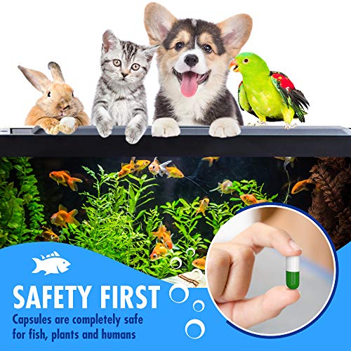 Beseder Bio Capsules Fish Tank Water Cleaner - Image 5