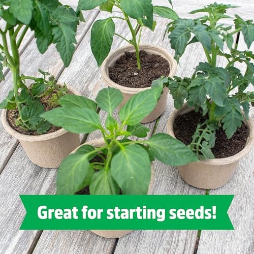 Back to the Roots Organic Seed Starting, Compressed Block expands to 12 Quarts, Made for Herbs, Veggies, Flowers - Image 4