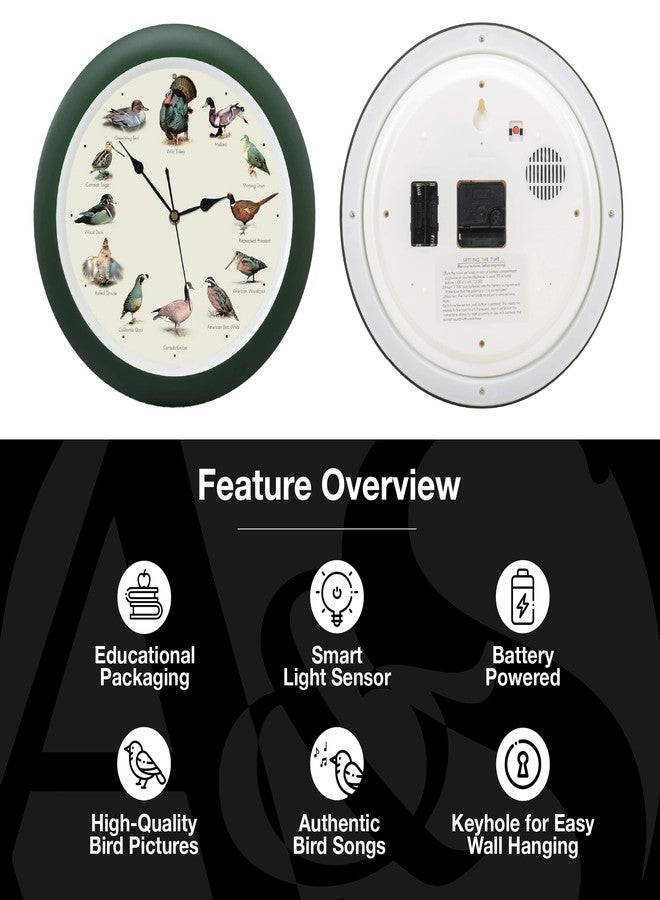 Mark Feldstein & Associates Mark Feldstein, Singing Wild Game Birds of North America Wall Clock, 13 Inch, Green - Image 3