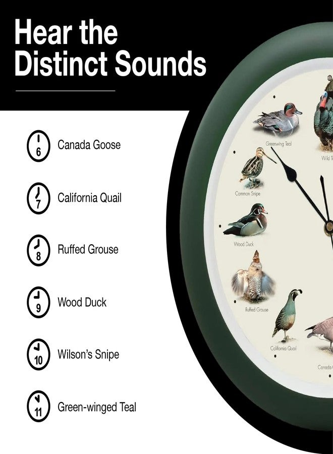 Mark Feldstein & Associates Mark Feldstein, Singing Wild Game Birds of North America Wall Clock, 13 Inch, Green - Image 5